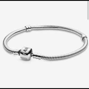 Pandora snake bracelet.